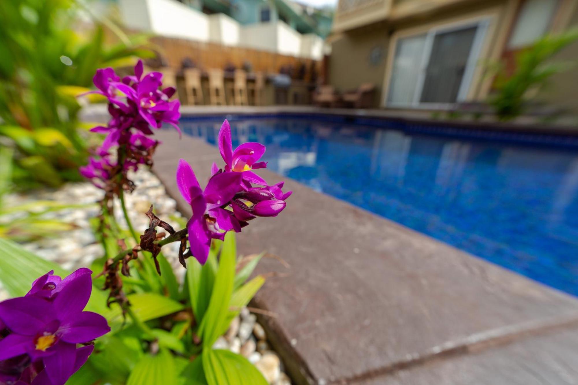 Plumeria Suite, 2-Bedrooms, Sleeps 6, Pool & Bbq, Pre-Renovation Summer Sale Kihei Extérieur photo
