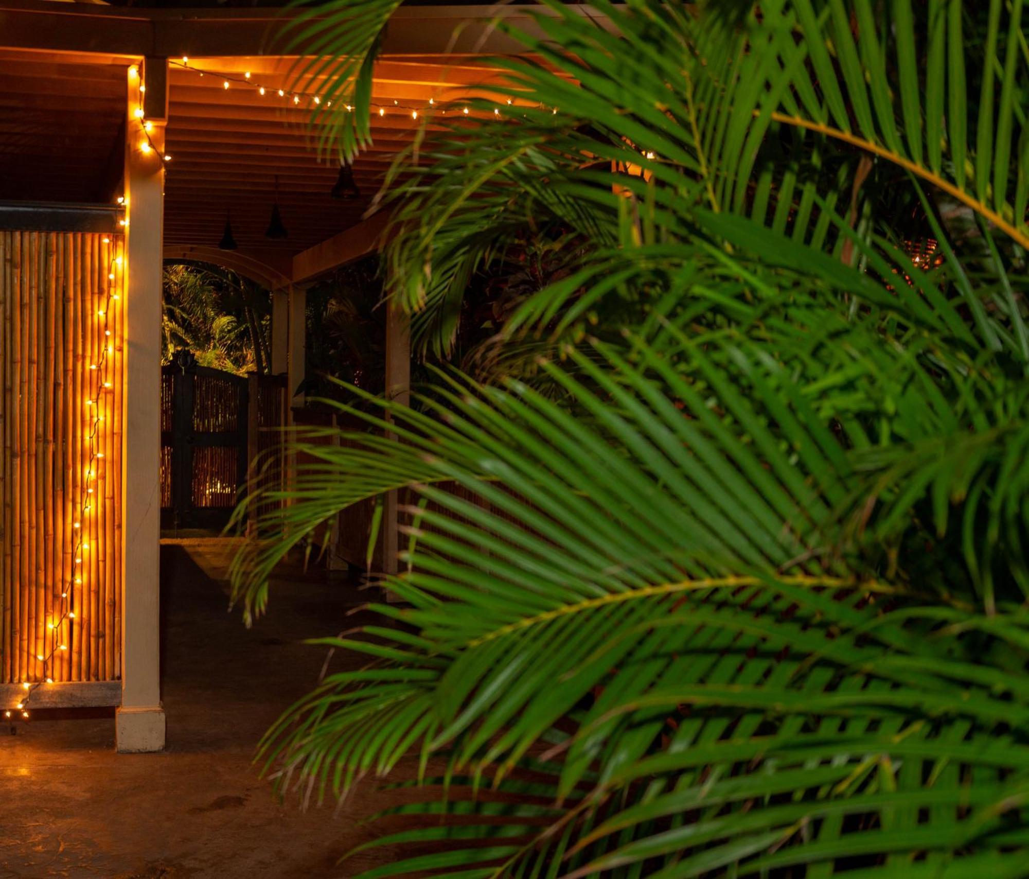 Plumeria Suite, 2-Bedrooms, Sleeps 6, Pool & Bbq, Pre-Renovation Summer Sale Kihei Extérieur photo