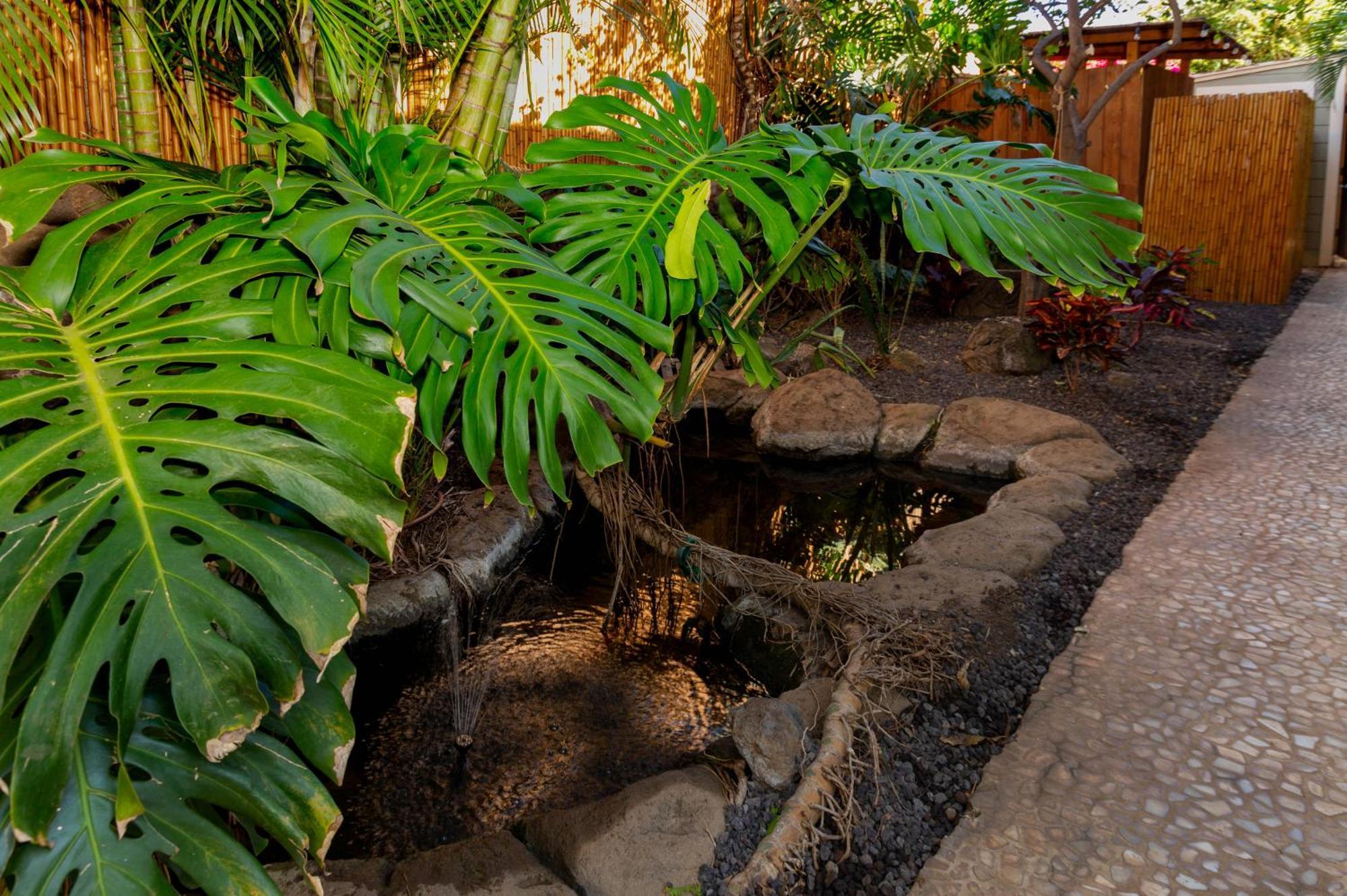 Plumeria Suite, 2-Bedrooms, Sleeps 6, Pool & Bbq, Pre-Renovation Summer Sale Kihei Extérieur photo